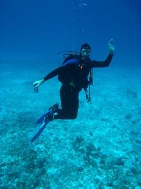 Diving in Cozumel, Mexico